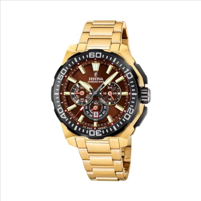 Montre Festina reference 6909